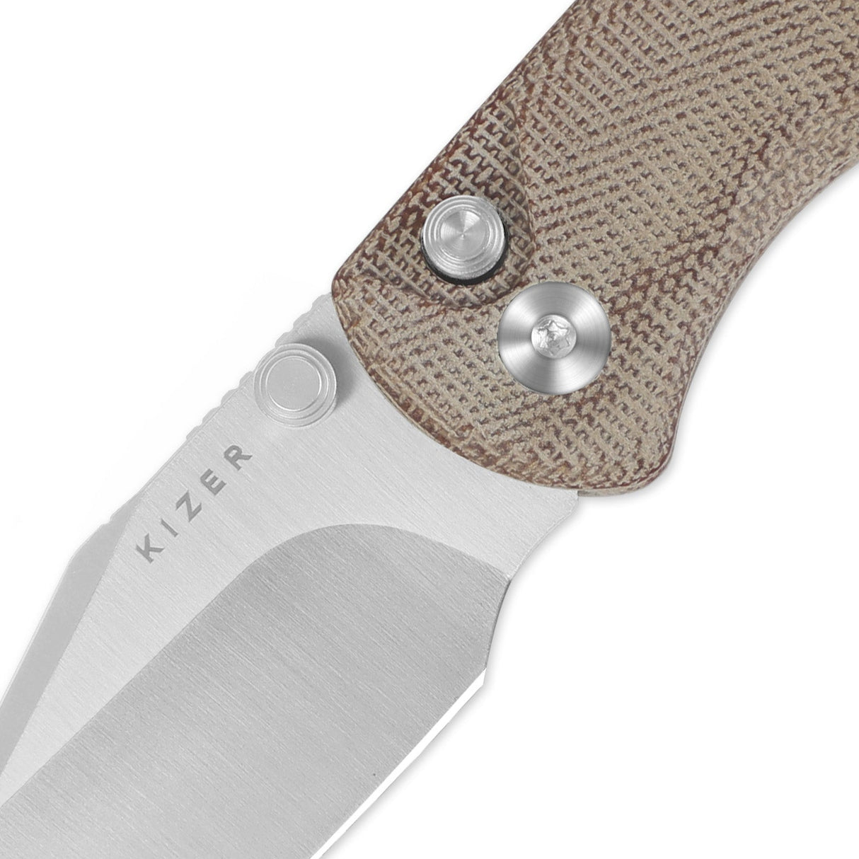 Drop Bear 2 | Compression Lock - Clip Point + Natural Micarta