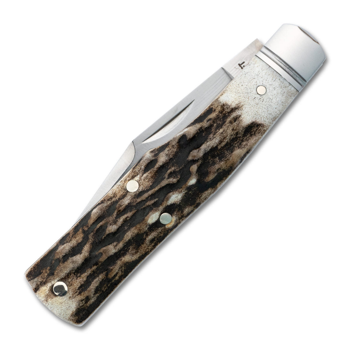 Savage Creek Gunstock Stag Slipjoint - RCT014-ST