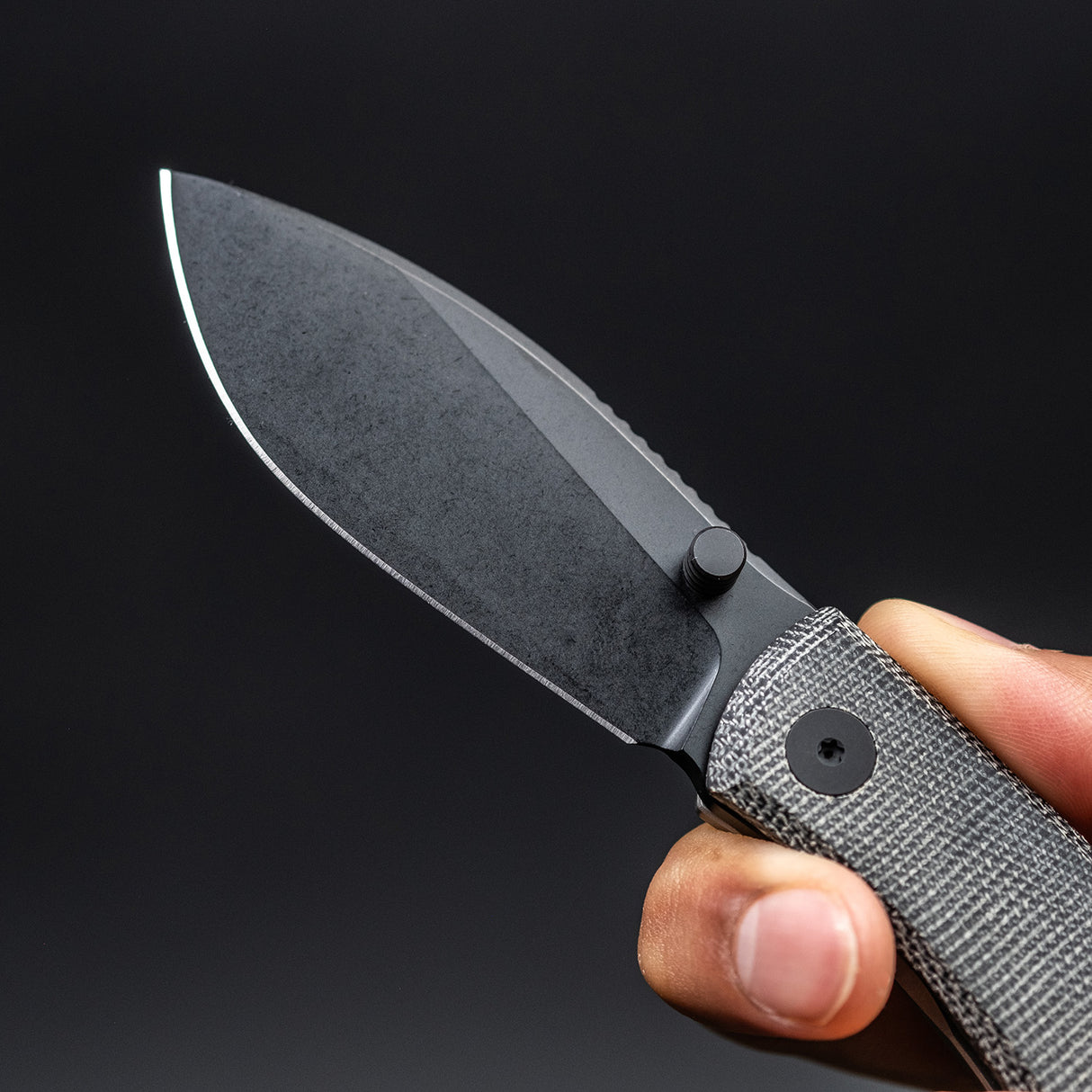 Urban EDC Baby Nessie - Black Micarta & PVD