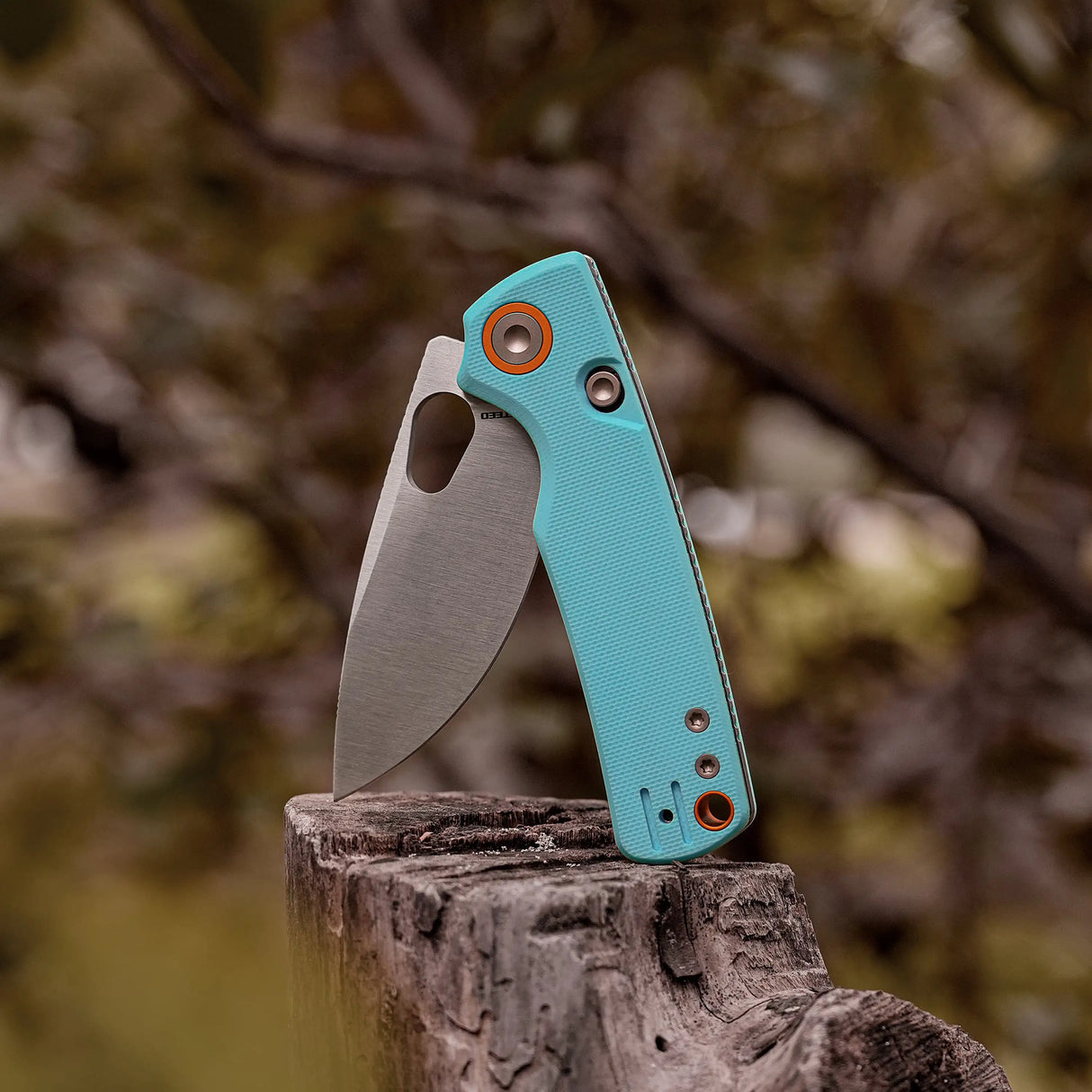 Porcupine | Sky Blue G10 + Satin 14C28N - A2608