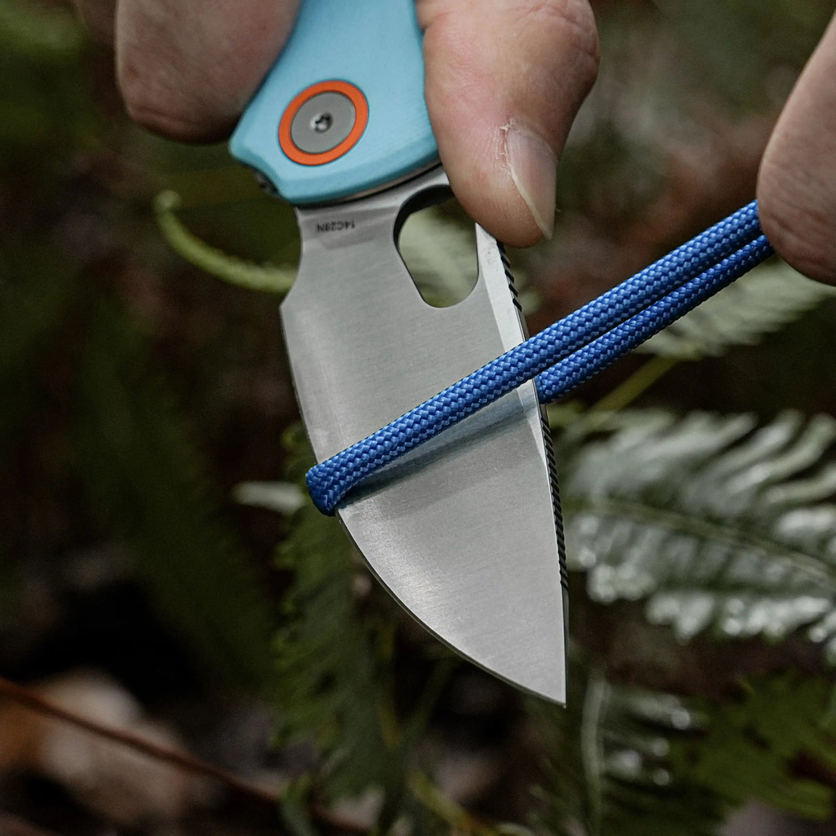 Porcupine | Sky Blue G10 + Satin 14C28N - A2608