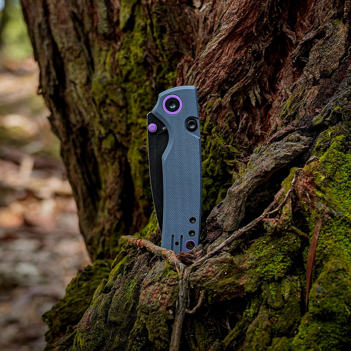 Porcupine Thumb Stud | Blue G10 + Blackwash 14C28N - A2627