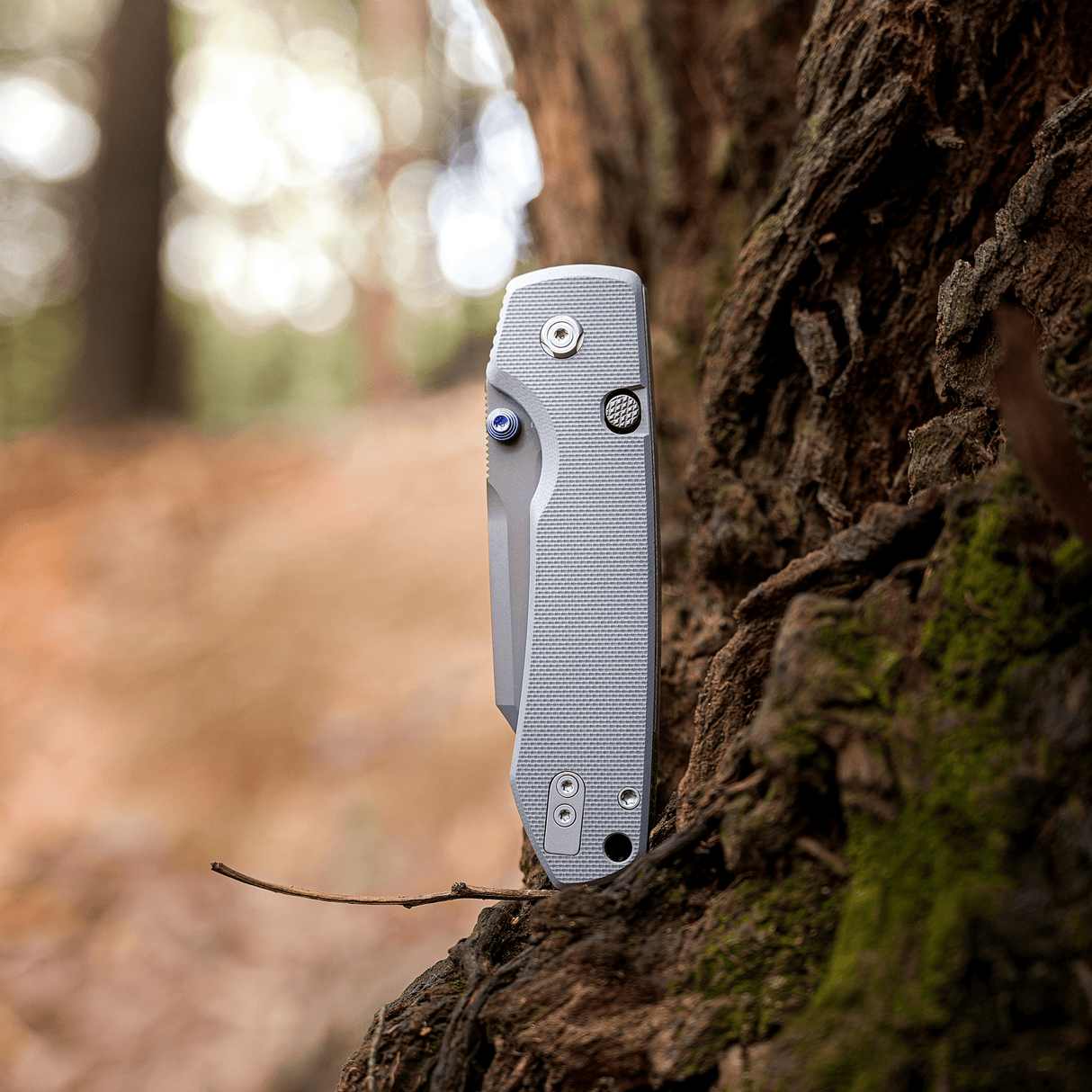 Raccoon 2.0- Top Liner Lock | Grey G10 + Destroyer Grey 14C28N Bowie - A2918