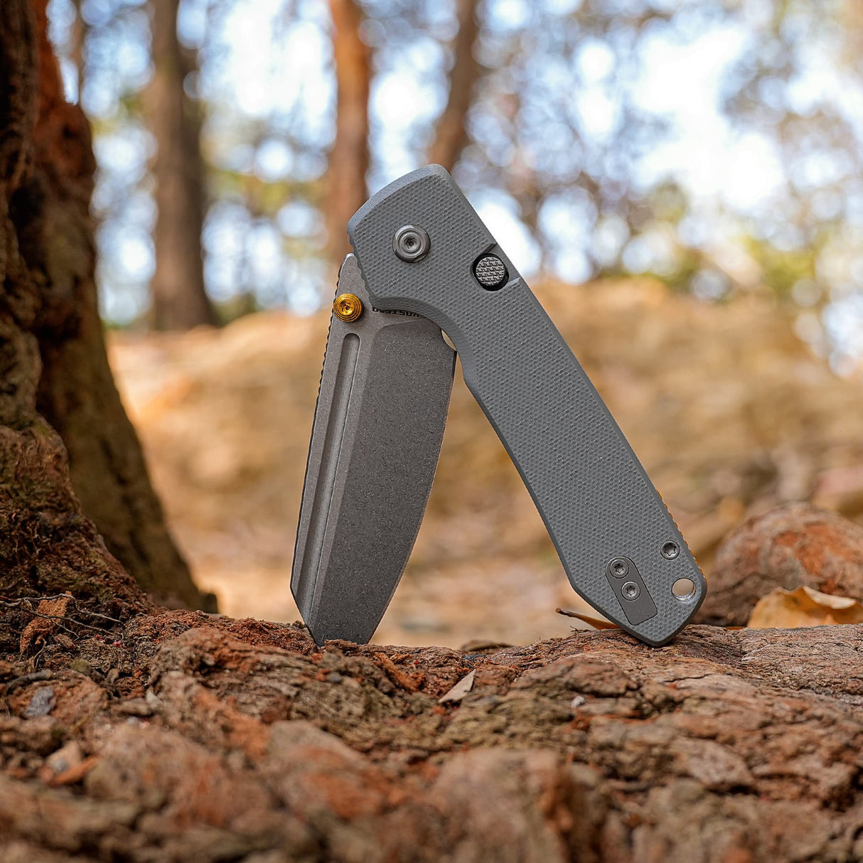 Raccoon 2.0 Top Liner Lock | Grey G10 + Stonewash 14C28N Sheepsfoot - A2930