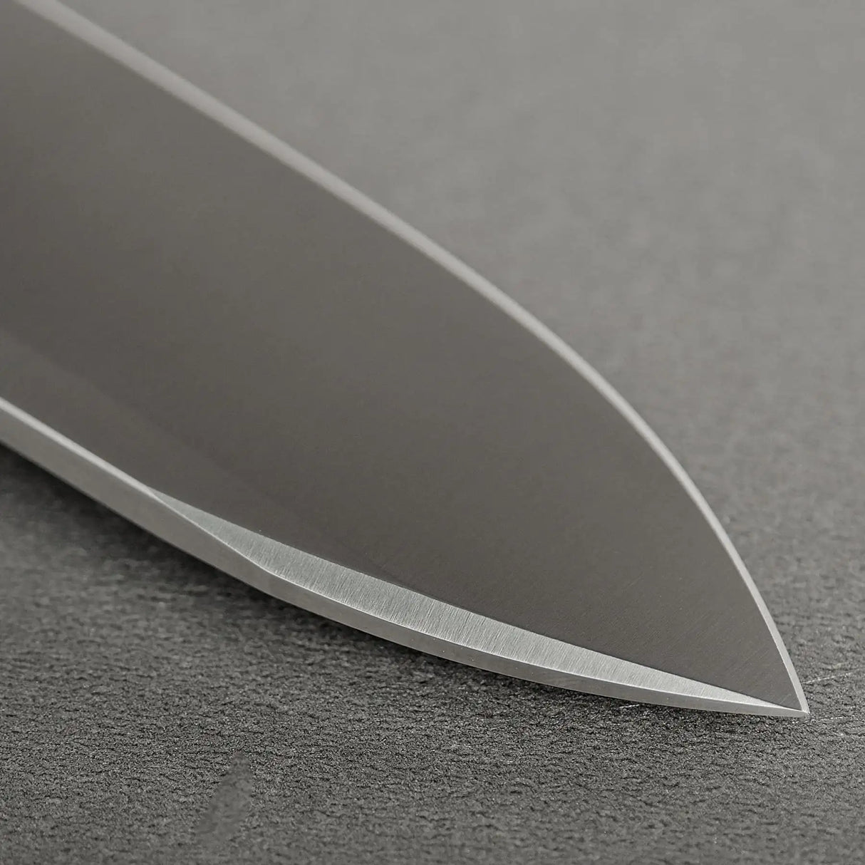 Raccoon V | Dim Grey Titanium + Satin Blade