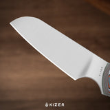 Whip Tail | Vortex Micarta & GID G10 + Satin AEB-L