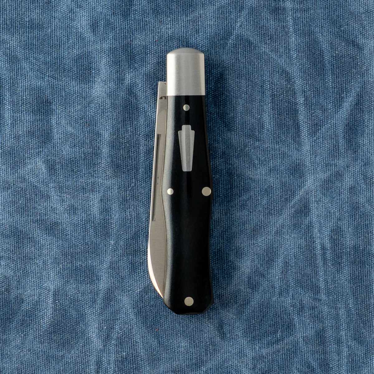 Gateway Coffin | Smooth Black Bone