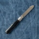 Gateway Coffin | Smooth Black Bone