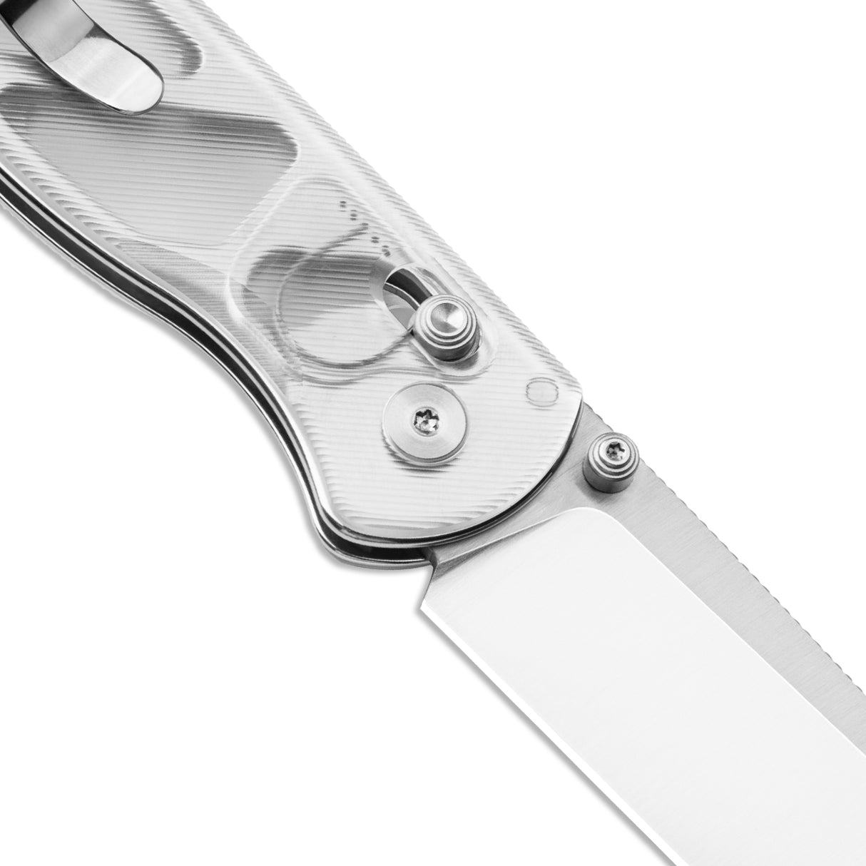 Drop Bear | Acrylic + Satin Nitro-V