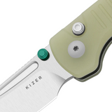 Parakeet | Glow in the Dark G10 + Satin Nitro-V