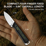 Whiskey Jack | Gmascus + Satin AEB-L