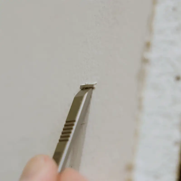 Sancho Pry Bar - Pry Tool