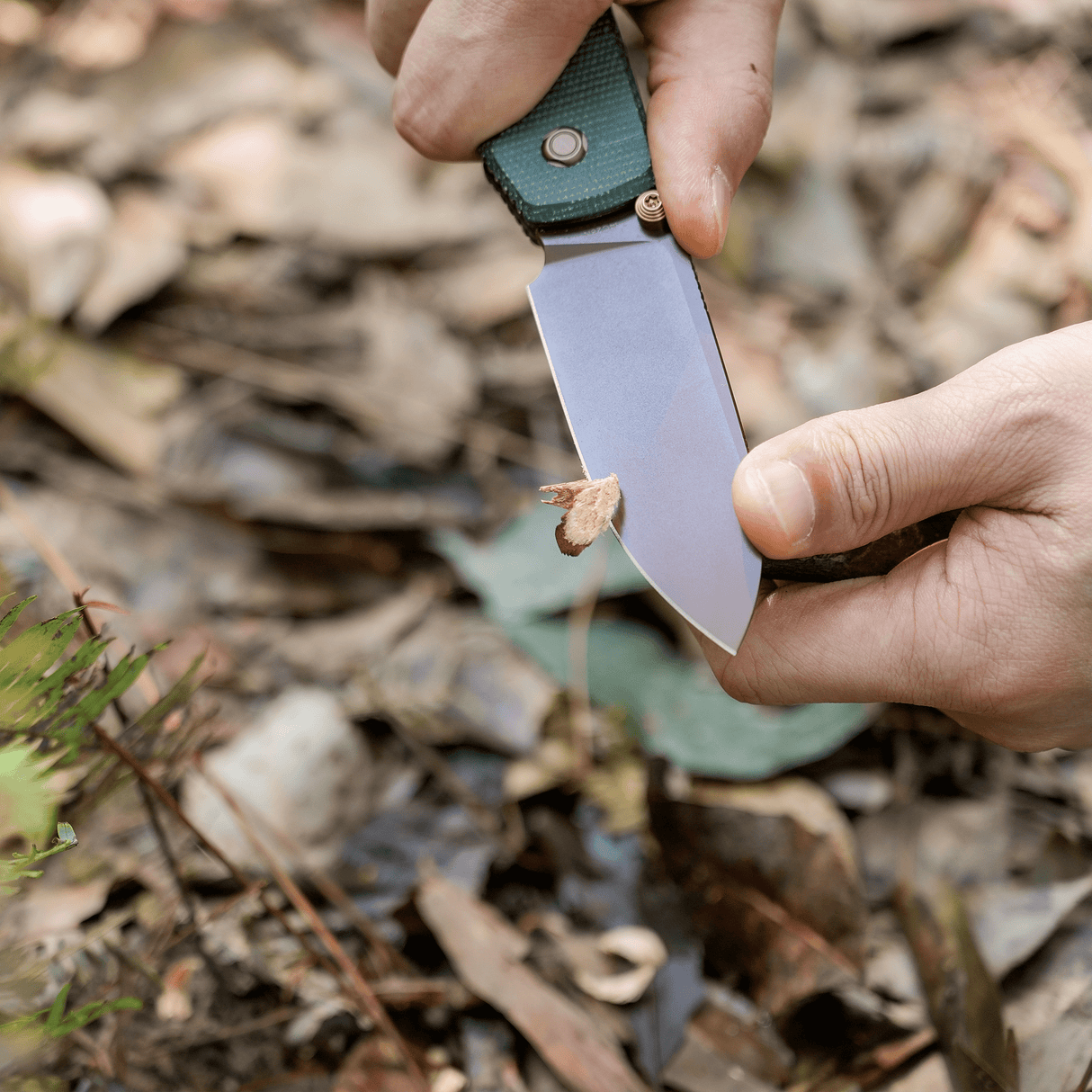 Raccoon 2.0 Top Liner Lock | Green Micarta + 14C28N Drop Point - A2901