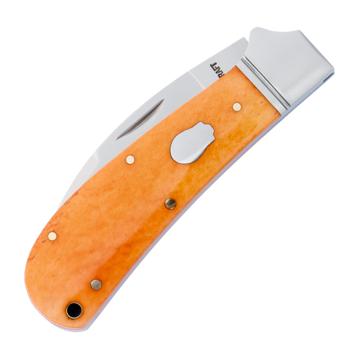 Clinch River Swayback Bourbon Bone Slipjoint - RCT005-2026