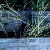 Osprey | Black Cerakote + Black Micarta