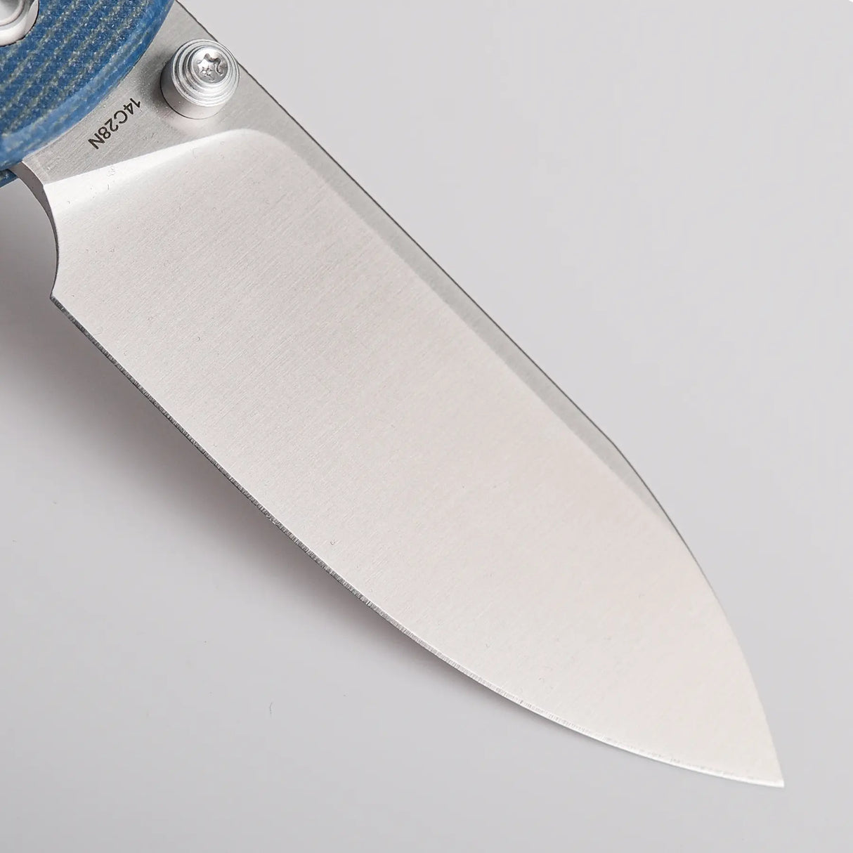 Raccoon - Top Liner Lock | Blue Micarta + 14C28N Drop Point - A2905