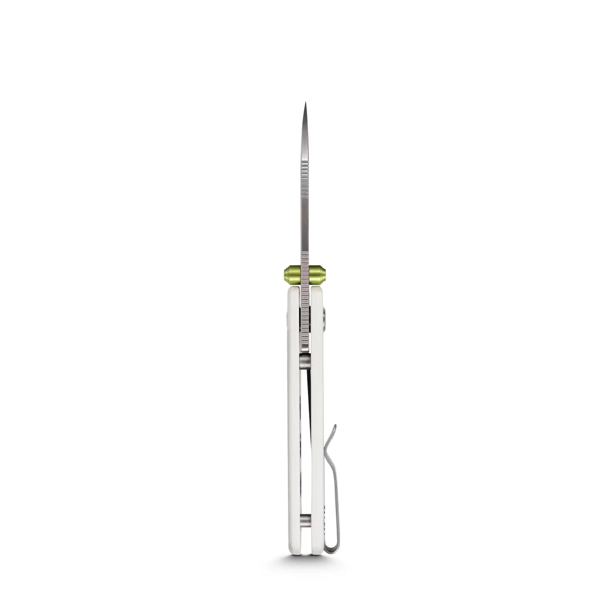Raccoon Cub | White G10 + Satin 14C28N - A3603