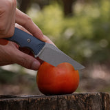 H-Back | Blue G10 + Nitro-V - D0405