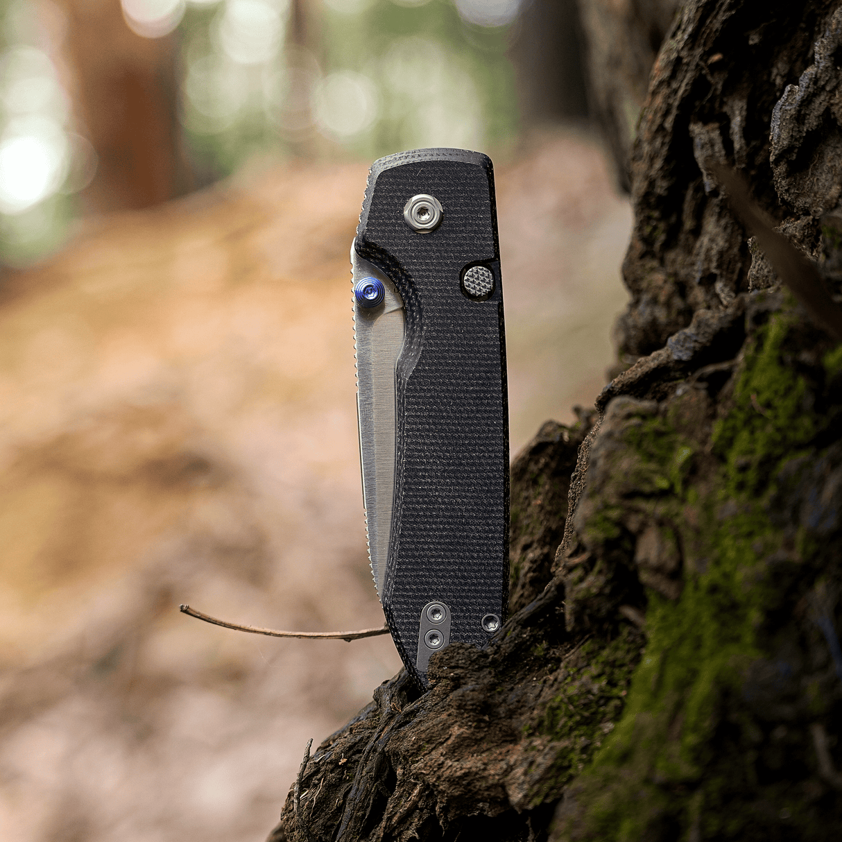 Raccoon 2.0 - Top Liner Lock | Black Micarta + 14C28N Drop Point - A2903