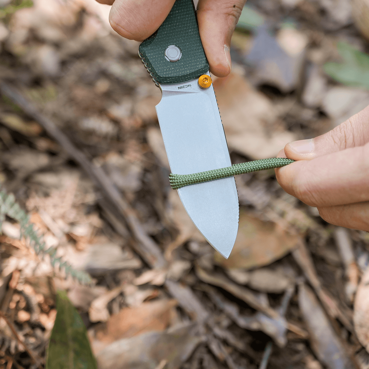 Raccoon 2.0 - Top Liner Lock | Green Micarta + 14C28N Drop Point - A2904