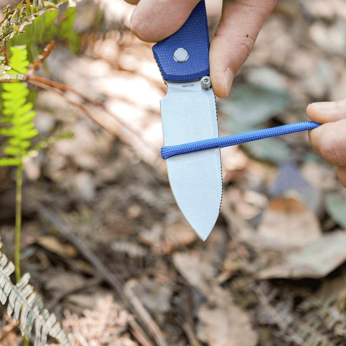 Raccoon 2.0 - Top Liner Lock | Blue Micarta + 14C28N Drop Point - A2905