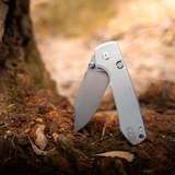 Raccoon  2.0- Top Liner Lock | Grey G10 + Destroyer Grey 14C28N Bowie - A2918