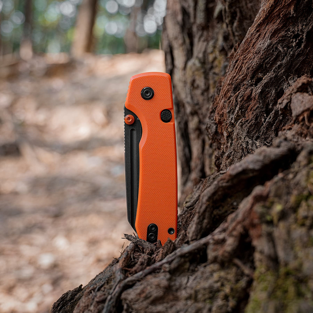 Raccoon 2.0 Top Liner Lock | Orange G10 + Blackwash 14C28N Sheepsfoot - A2931