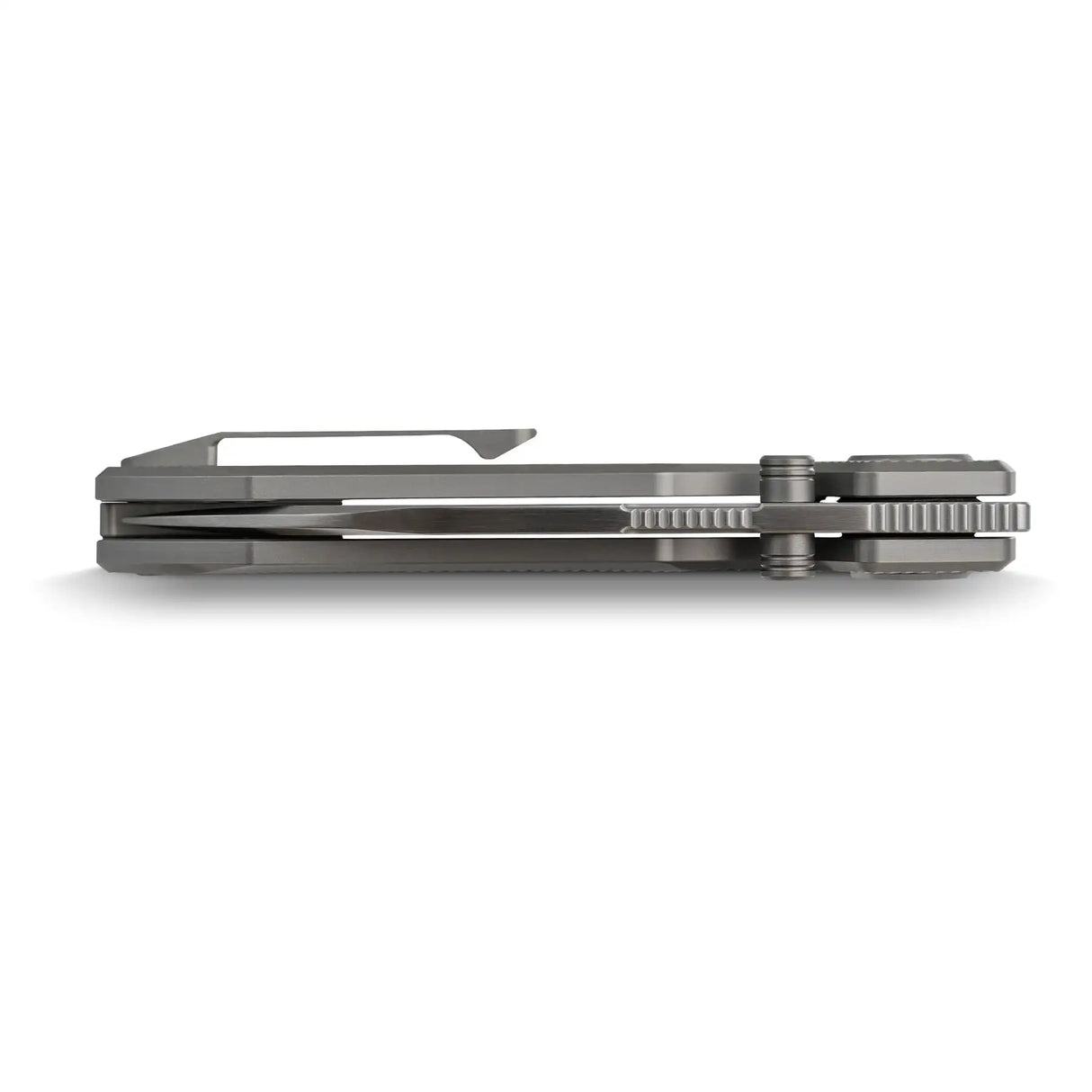 Raccoon V | Dim Grey Titanium + Satin Blade