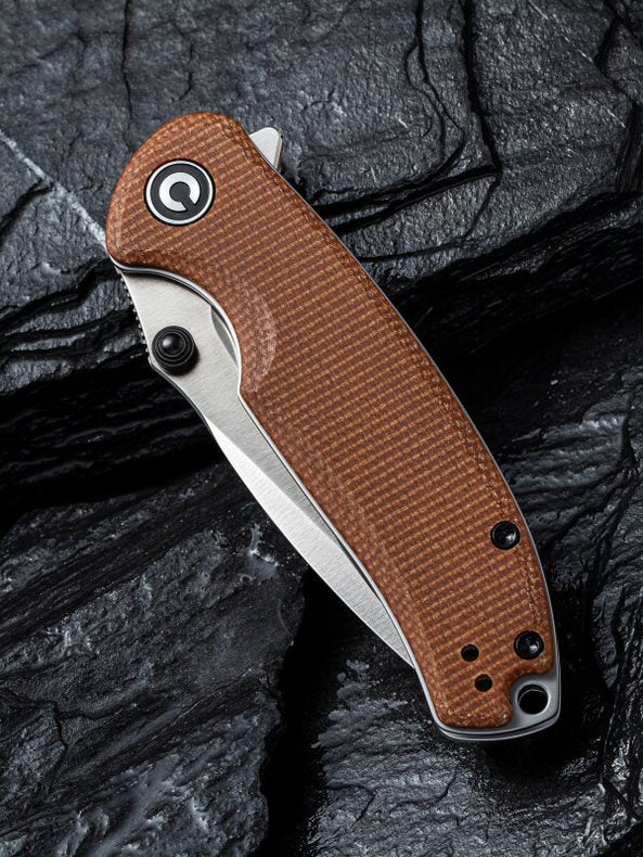 Pintail