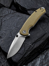 Pintail