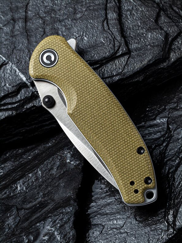 Pintail