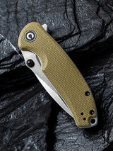 Pintail