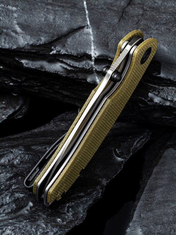 Pintail