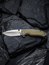 Pintail