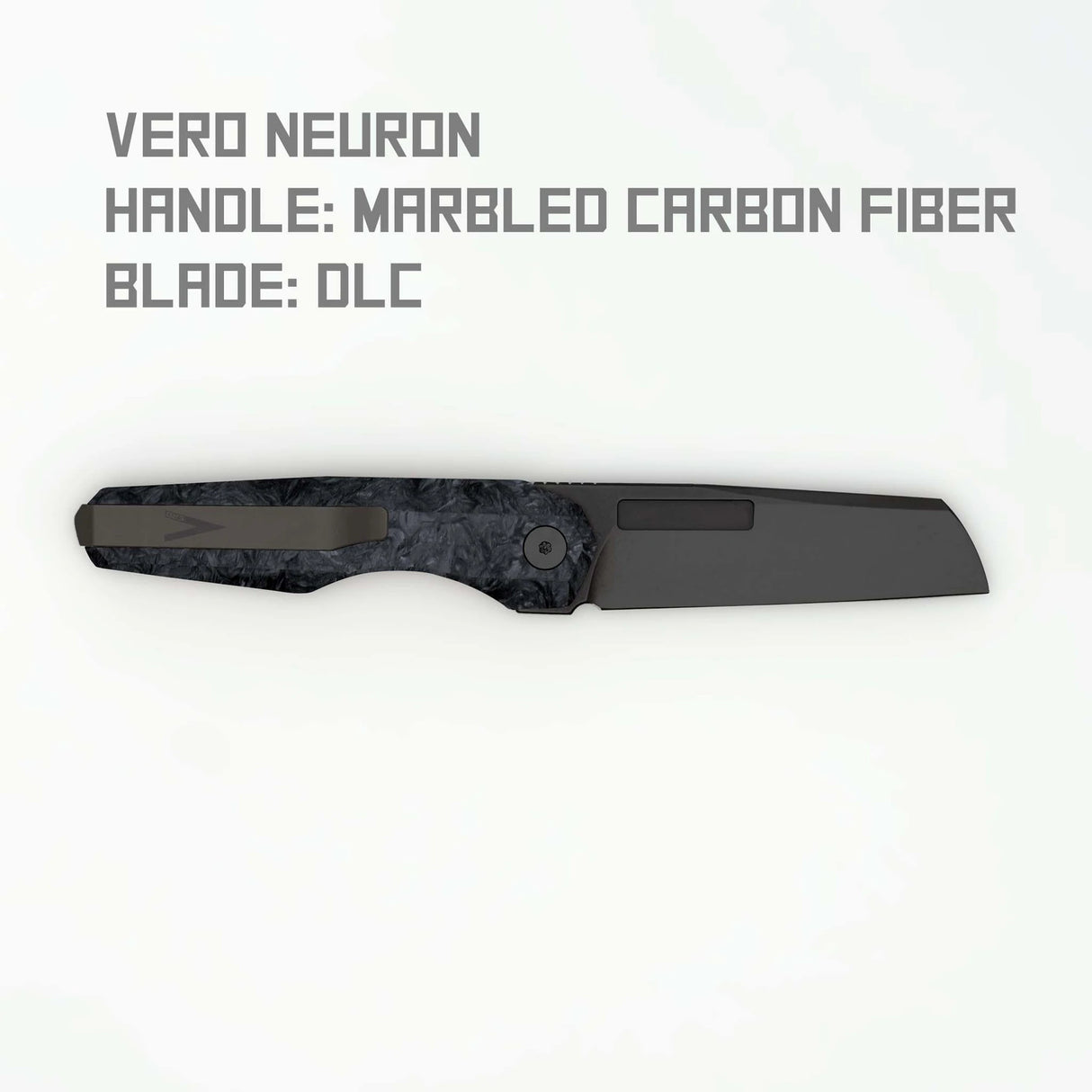 Neuron